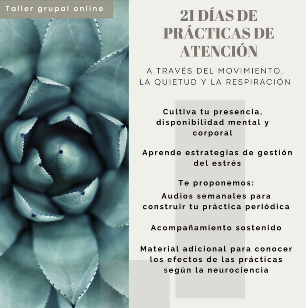 Captura de pantalla 2025-06-18 a las 10.13.44